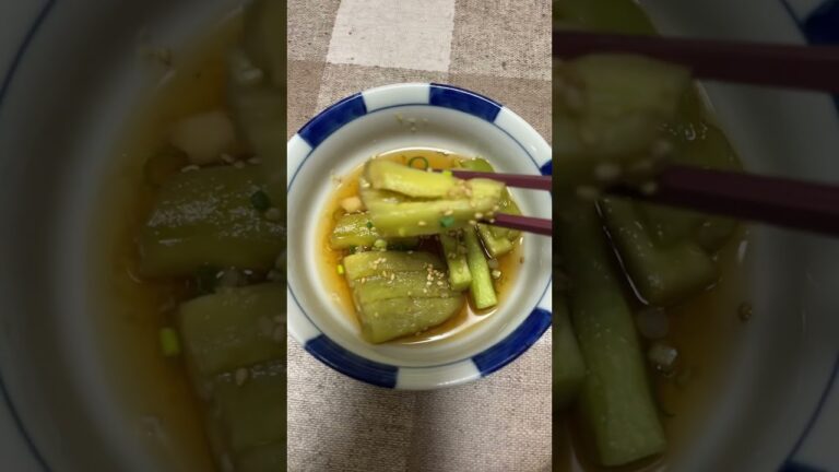 なすのおひたし(Nasunoohitashi) Japanese food / Boiled Eggplant