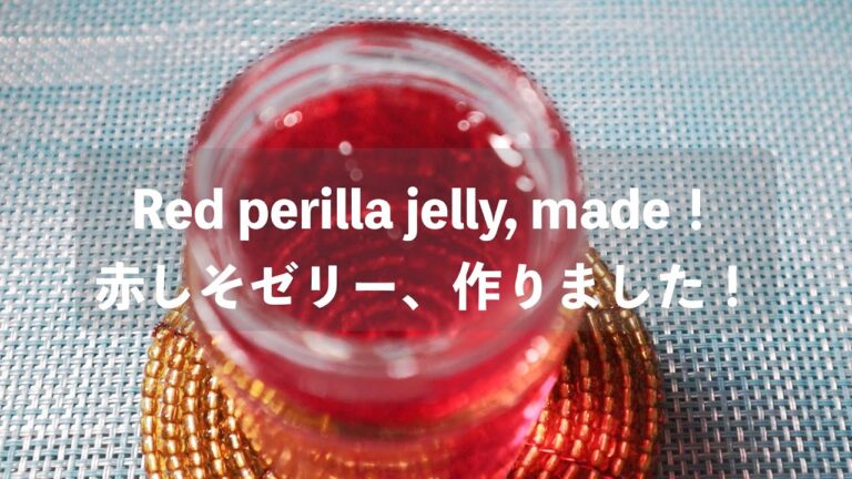 簡単・赤しそゼリー、作りました！　Red perilla jelly, made！