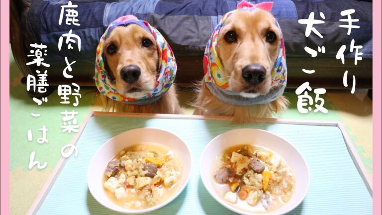 【犬 ごはん】鹿肉の薬膳犬ご飯を手作り～ASMR/咀嚼音/作り方