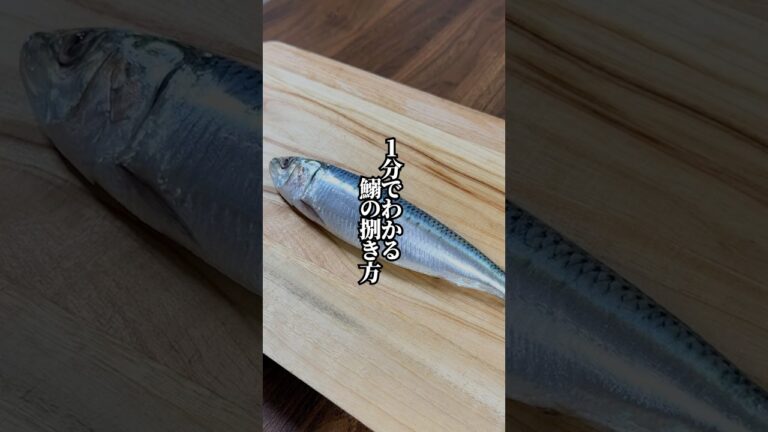 【板前が捌き方を伝授】1分でわかる！鰯の手開き！