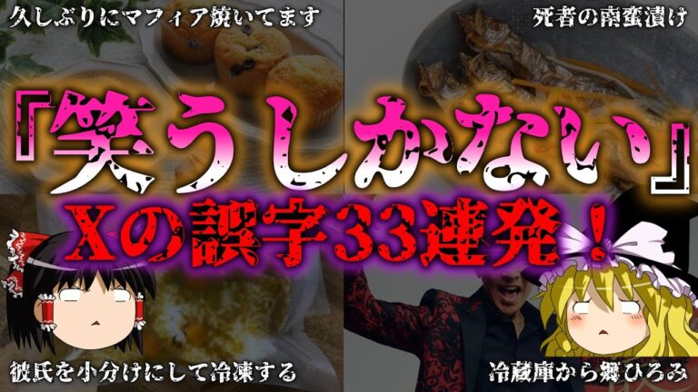 【ゆっくり解説】【X(旧Twitter)の闇】誤字33連発で見るおもしろ悲劇『闇学』