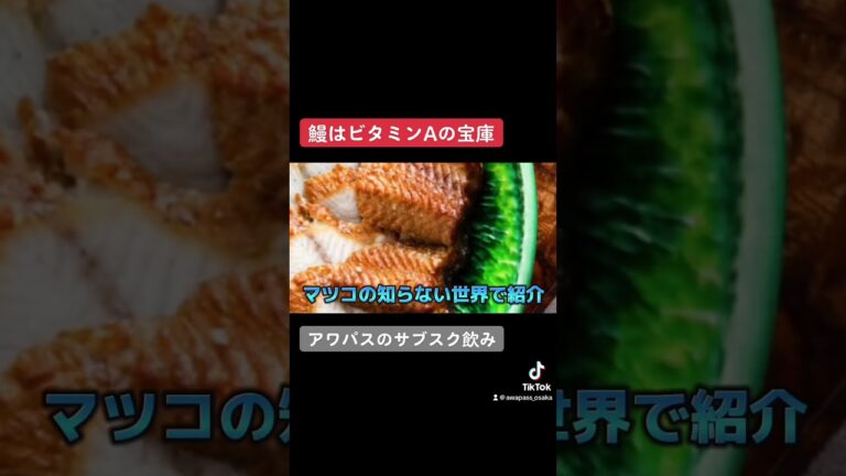 創作うなぎ料理 炭火焼寝床 心斎橋本店