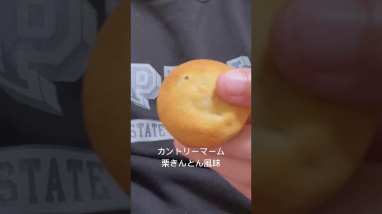 ご当地カントリーマーム東海土産栗きんとん風味