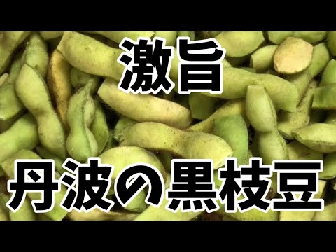 【丹波の黒枝豆】#Black edamame#Japanese simple cooking#Knob of liquor