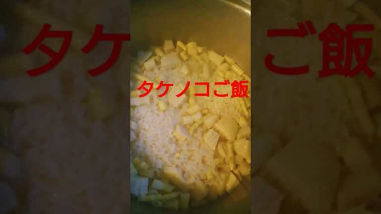 ビタクラフトで、タケノコご飯作りました、VitaCraft