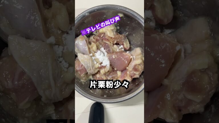【塩からあげ】漢は黙って塩です