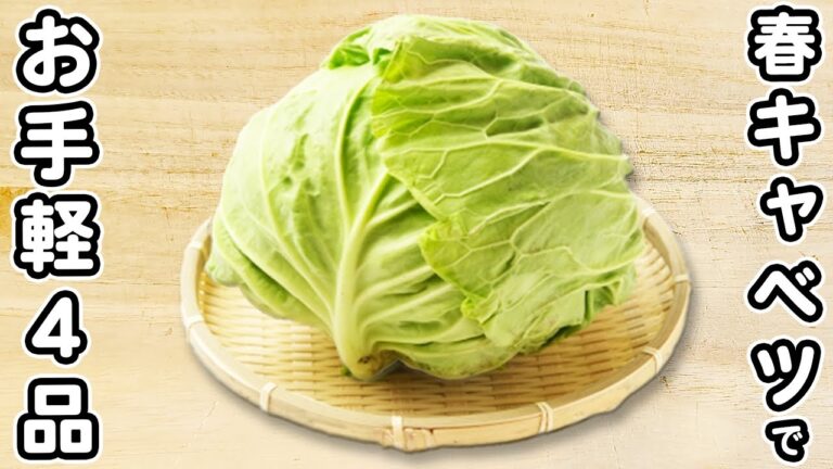 【春キャベツで簡単料理4品】ぱっと作れて箸が止まらない！お手軽おかずの作り方　節約レシピ・時短レシピ・春レシピ
