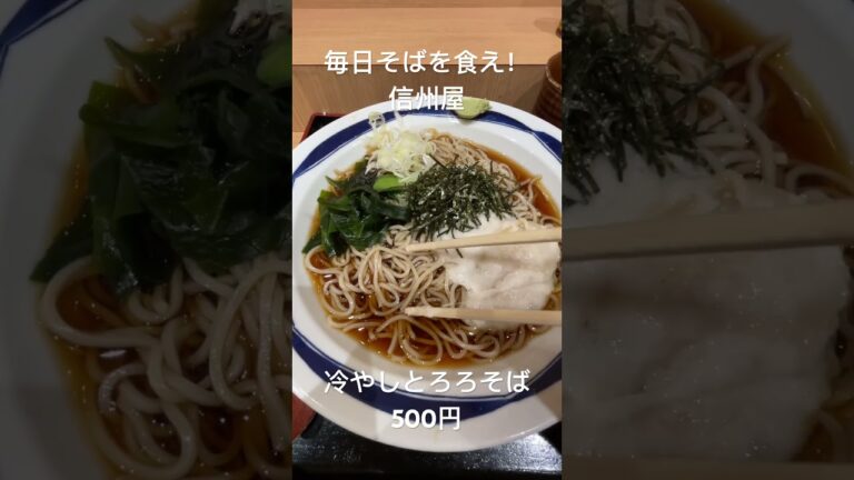 【毎日そばを食え！】信州屋の冷やしとろろそば！