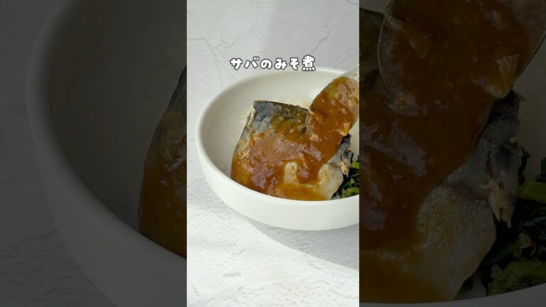 【ワンパン10分！鯖みそ煮】