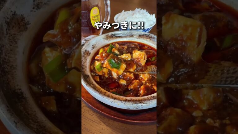 【ここだけ】世界で唯一認められた麻婆豆腐！？【新宿ほか】
