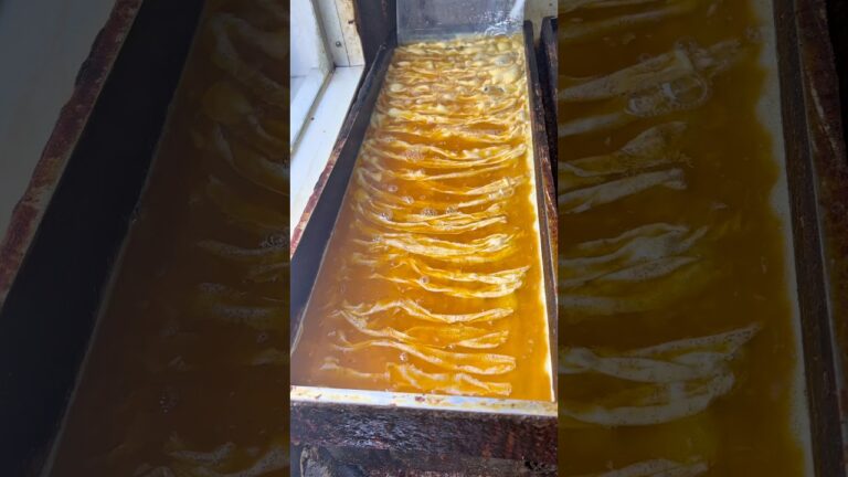 巨大鉄板で焼く明太子卵焼き #japanesefood