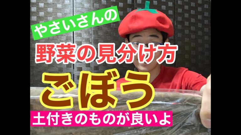 野菜の見分け方シリーズ【ごぼう】