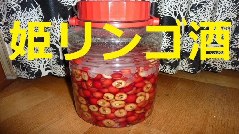 【北海道観光】姫リンゴ酒