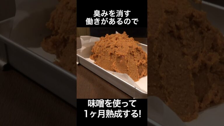 味噌を使って1ヶ月熟成する #shorts