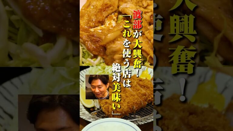 渡部唸る、幻のブランド豚〝林SPF〟 #生姜焼き #飯テロ #渡部ロケハン #まるやま食堂 #雑色