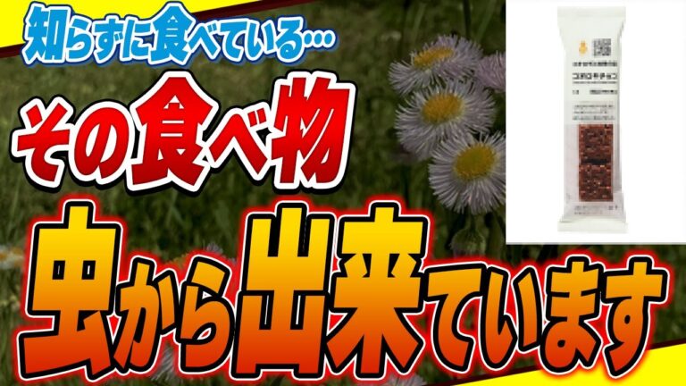 【衝撃】知らぬ間に食べている!原材料が虫由来の食品添加物5選