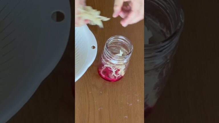 【梅酢で作る紅しょうが】新生姜をゆでてから漬けるよ！