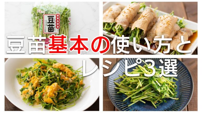 【豆苗　基本の使い方とレシピ】豆苗と卵のふわとろ炒め・豆苗のナムル・豆苗のシャキッと肉巻きの作り方を解説。さらに一番わかりやすい豆苗の再生方法もわかります。