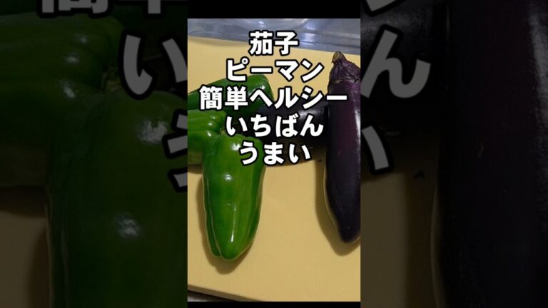 茄子とピーマン簡単ヘルシーで一番美味しい！なす炒め おつまみ 副菜 お弁当 おかず ダイエット レシピ