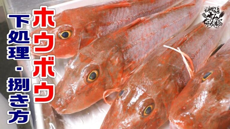 上流階級しか食べれなかった【ホウボウの下処理・さばき方】
