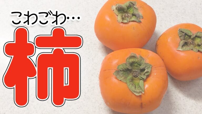 【小さいおかず】果物を料理に使うなんてありえない！？人生初！柿を使ってみた結果は…【簡単】【晩ごはん】