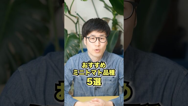 ミニトマト30品種を育てたプロが教える！おすすめミニトマト品種5選 #家庭菜園 #ガーデニング #ミニトマト