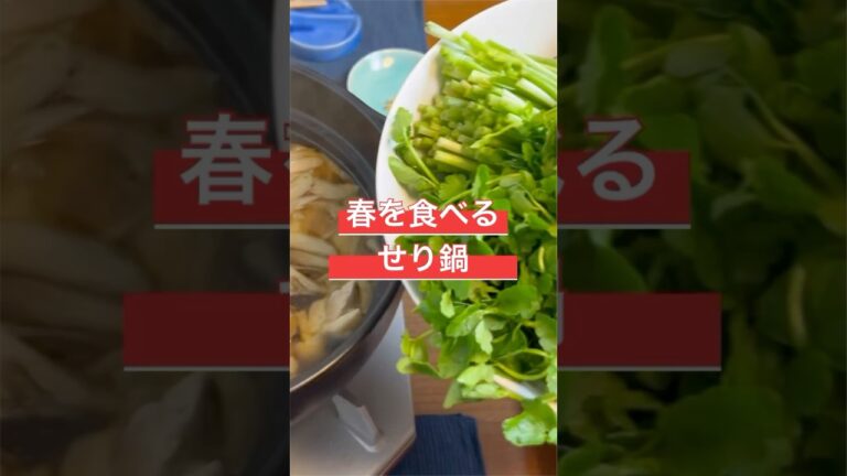 春を食べる　せり鍋　【お買い物リスト】はコメント欄へ　#春 #春レシピ #鍋 #おうちごはん #cooking #鶏肉 #ヘルシー #ヘルシーレシピ #簡単レシピ #自炊 #japan #tokyo