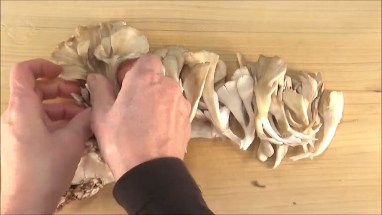 23 05_いわし缶のバターが香る炊き込みごはん