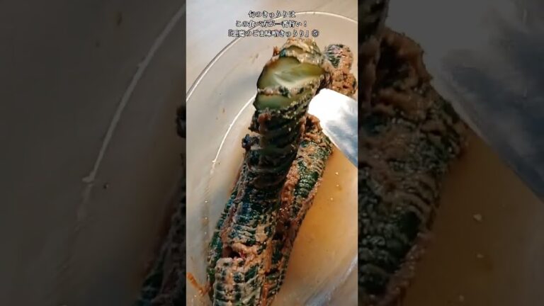 【お得なレシピ】旬のきゅうりはこの食べ方が一番旨い！『悪魔のごま味噌きゅうり』⑤　2024年7月7日