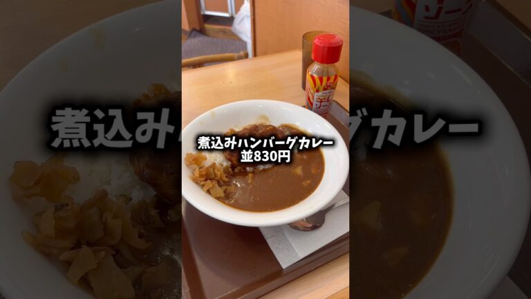 すき家の本日新発売「煮込みハンバーグカレー」が、ヤバい‼️#shorts