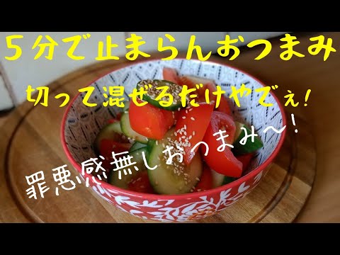 【初心者さんレシピ】トマトときゅうりのおつまみサラダ！癖になるタレでお箸が止まらないさっぱり感にゴマの風味が食欲そそる♪ おつまみにも最高！ tomato cucumber salad