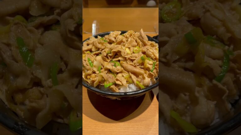 【飯テロ】すた丼の肉飯増し