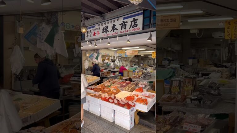 【札幌グルメ】絶対に行ってほしい北海道にある格安市場 堺本商店 二条市場 #北海道 #札幌 #hokkaido #sapporo