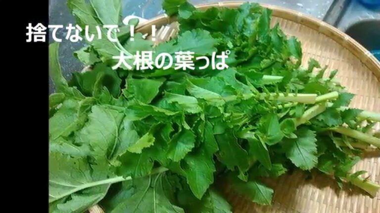 栄養満点のダイコンの葉っぱで混ぜごは～ん♪♪　ヨーグルトの隠し味