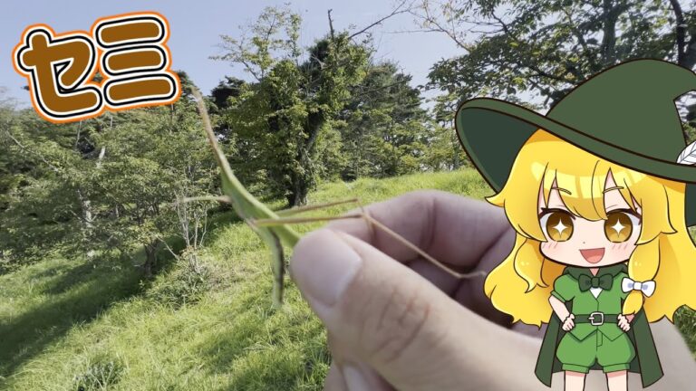 【ゆっくり実況】食糧難でも作れるエビマヨ作ったら至高の味で草【ゆっくり料理】【ゆっくり解説】