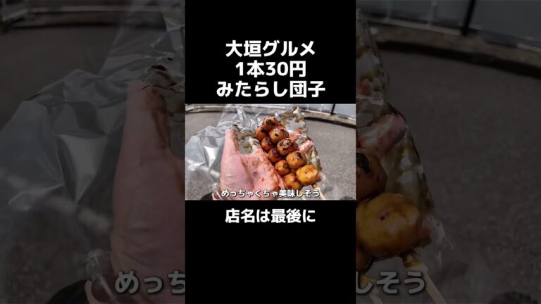 【大垣グルメ】1本30円のみたらし団子🍡五平餅は1本80円🤗#大垣グルメ#コスパ最強