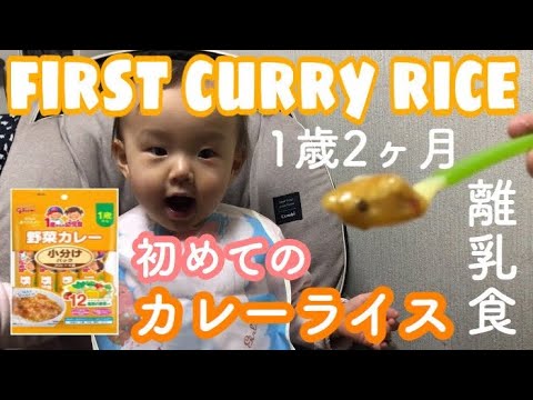 【赤ちゃん 1歳2ヶ月】離乳食 / はじめてのカレーライス / グリコ ベビーフード【成長記録】