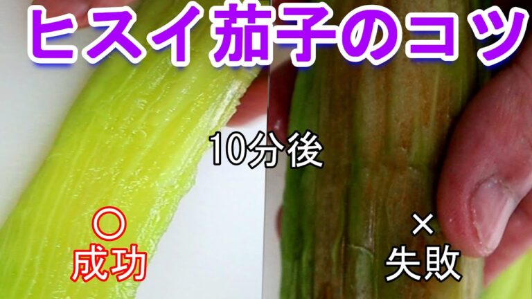【翡翠茄子】ヒスイ茄子　失敗と成功の理由