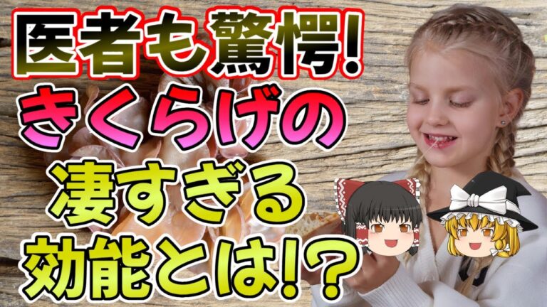 【ゆっくり解説】ダイエットにも最適！きくらげが持つ驚きの効果