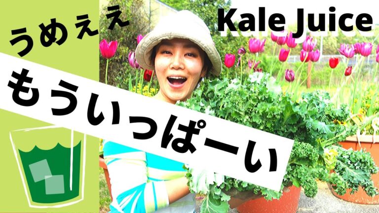 ケールでかんぱい★アメリカ田舎暮らし｜Homemade Kale Juice