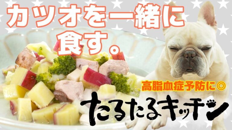 【簡単！獣医師監修・犬の手作りごはん】カツオとブロッコリーの血液サラサラスープ