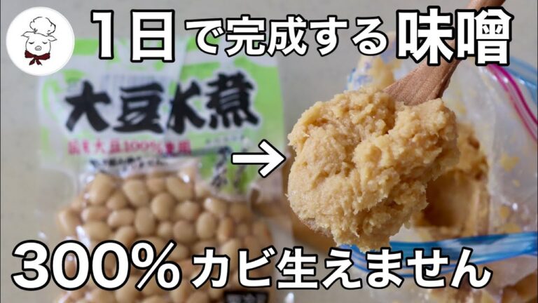 心折れてた人もこれなら大丈夫！【一日で完成するカビの心配不要　手作り味噌の作り方】