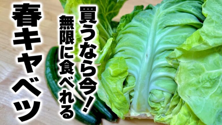 【材料２つだけ！】安くなった春キャベツが無限食える『さっぱりやみつき春キャベツ』の作り方！
