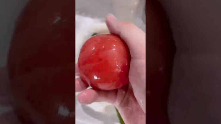 夏にピッタリ爽やかタコのマリネ