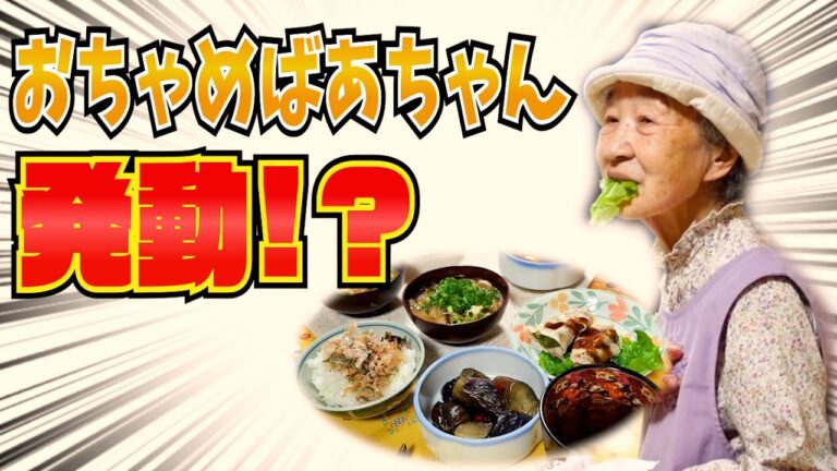 とある日の夕食 ばあちゃんの茄子の煮びたしと豚バラピーマンとお茶目なばあちゃんと。【本篇】