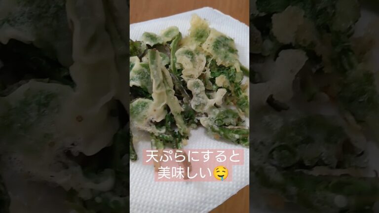 「こごみ」って、知ってる？天ぷらにすると美味しい#shorts#野草