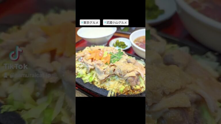 武蔵小山のグルメ情報「千徳」～スタミナじゅうじゅう焼きライス(肉まし)～ 酸味系の特製タレがたっぷりな肉とキャベツが美味しい！ #武蔵小山グルメ #東京グルメ #戸越