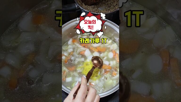 Lentil Beans Soup 단백질 가득한 저속노화, 다이어트에 좋은 렌틸콩 채소 수프 만들어봐요♡♡♡#렌틸콩수프#렌틸콩채소수프#lentils  #저속노화수프#단백질식단