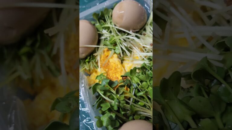 お弁当🤣卵🥚とベーコン🥓にかいわれ大根ドッサリ🤣