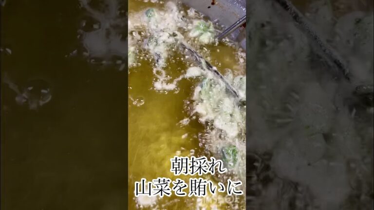 「春の山菜で天ぷらと蕎麦｜蕎麦屋の賄い飯」